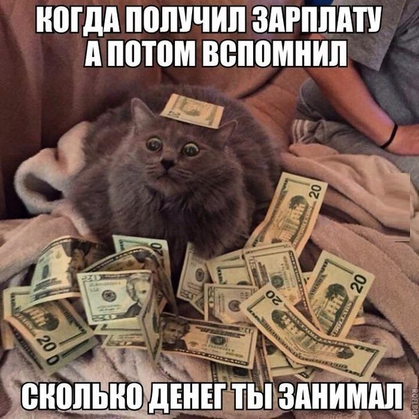    :D - 1  2017  07:32