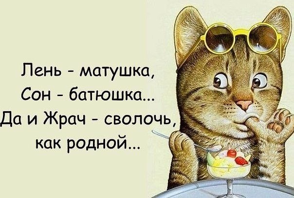      - 13  2017  07:18