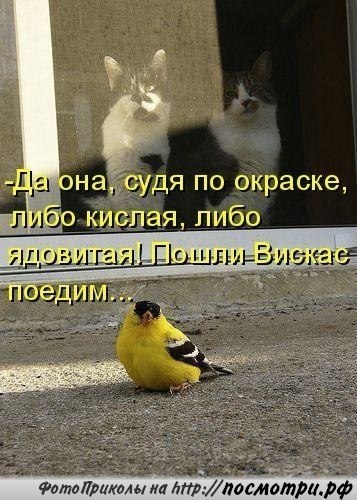    - 1  2017  11:12