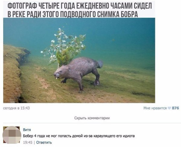  |  |  - 24  2017  20:49