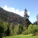 ���� �������, ������-��-����, 52 ���� - ��������� 8 �������� 2017 � ������ ���� ����������