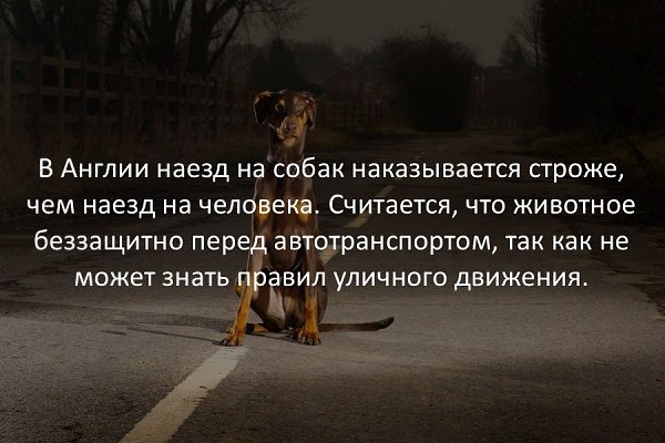   - 30  2017  17:28