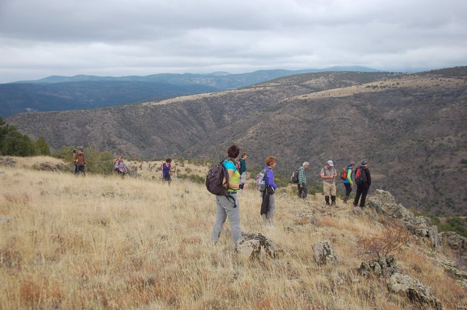 Pevril - 17 ������� 2017 � 09:18 - 2