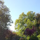 ���� Ljudmilla, �������, 71 ��� - ��������� 2 ���� 2017 � ������ ���� ����������