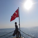  , -, 42  -  8  2017   , 2017 ()