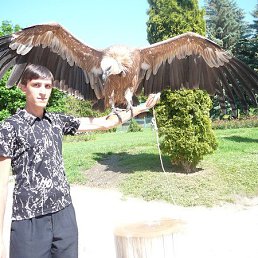 ���� ������, �����������, 39 ��� - ��������� 17 ������� 2017