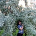  , , 40  -  26  2017   18.00.2017     ))