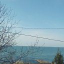  , , 56  -  8  2017    2017