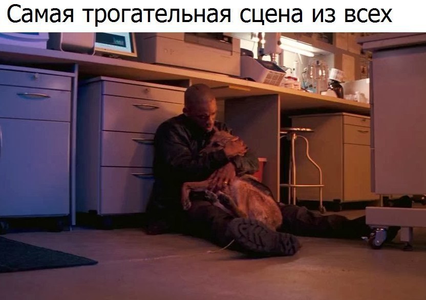   :    - 17  2017  14:22