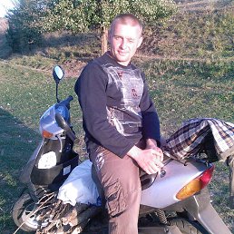 , 41, 