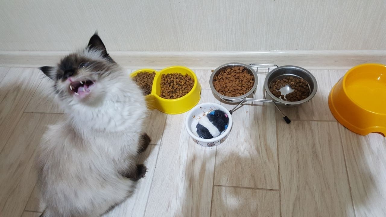    ,     ,    