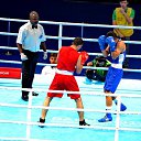  ,  -  14  2017           12 ߻