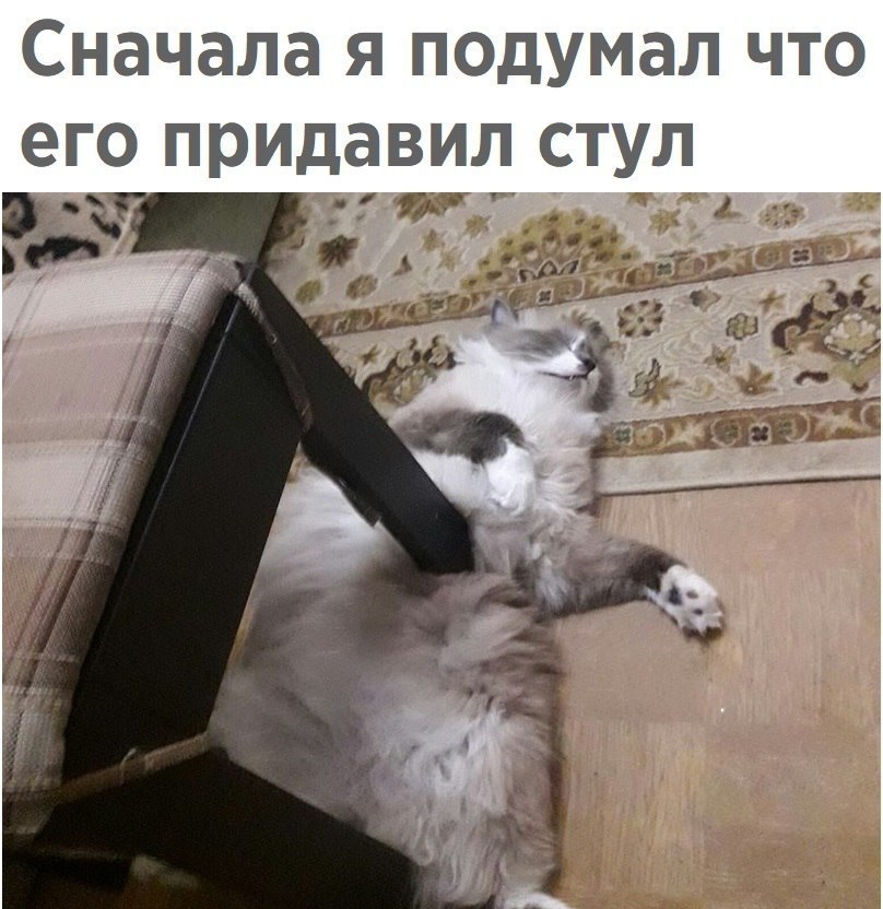  - 17  2017  03:47