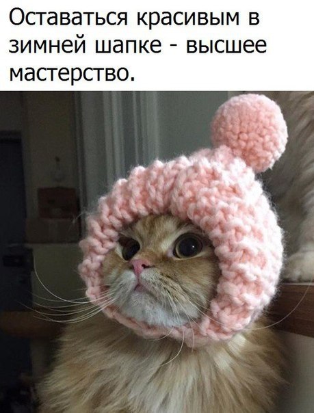    - 21  2017  20:10