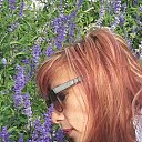 ���� ������ ����������, ������, 52 ���� - ��������� 21 �������� 2017 � ������ ���������� ������