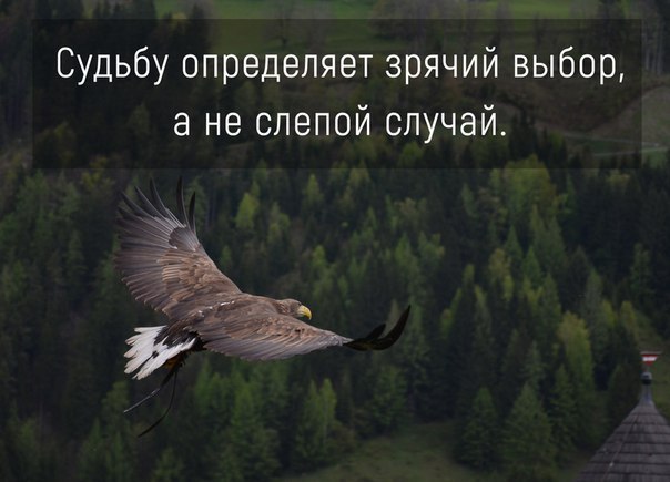  - 7  2017  11:57