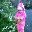 ���� �����, �����������, 31 ��� - ��������� 17 ��� 2017 � ������ ������ ��������