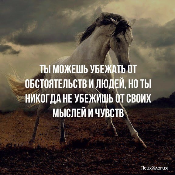  - 9  2017  11:46