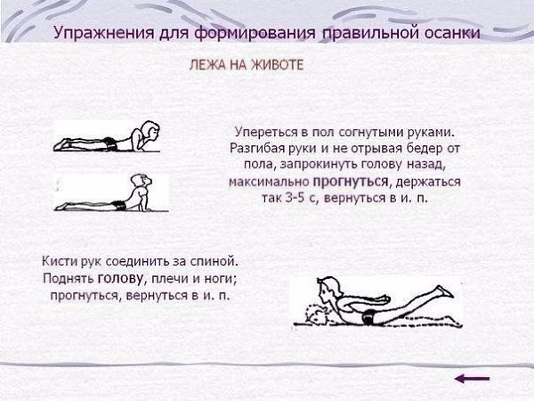Упражнения для красивой осанки и против болей в спине .Результата добьетесь при регулярных ... - 3