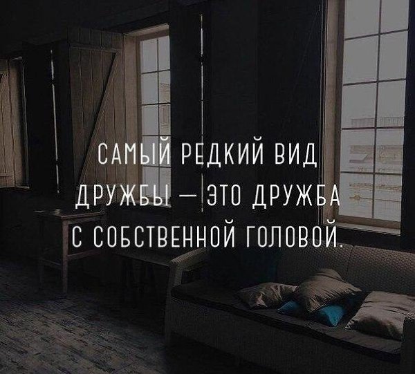 IQ Blog: , , ,  - 24  2017  13:03