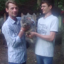 �������, ����-���������, 53 ����