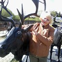 ���� ������, ������ - ��������� 9 ���� 2017 � ������ ���� ����������