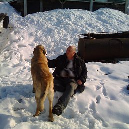 ���� ��������, �����, 68 ��� - ��������� 22 ���� 2017