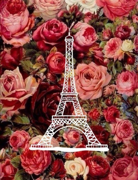   ,      .   ,    ,  ...