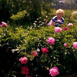 ���� ������, ������������ - ��������� 19 ���� 2017