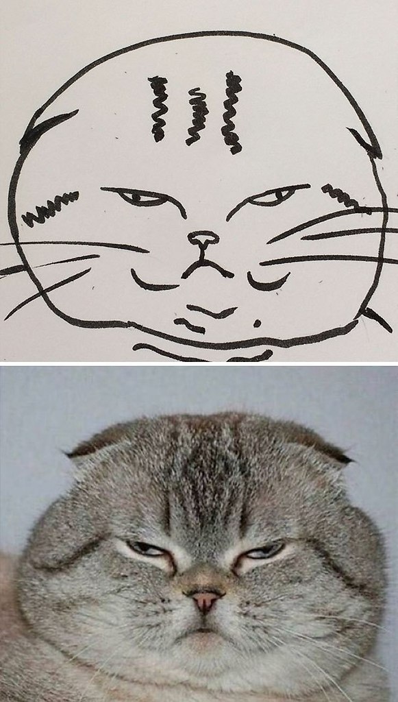       :