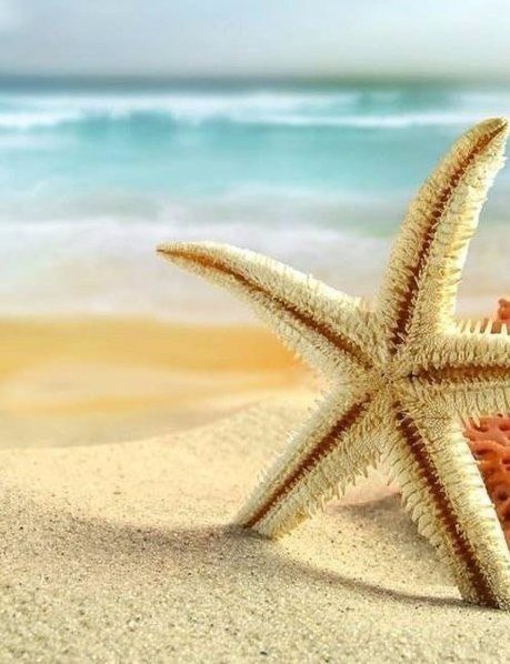 He o e,  xop oc! - 5