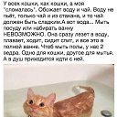 ���� ����, ���������, 48 ��� - ��������� 20 ������� 2017 � ������ ���� ����������