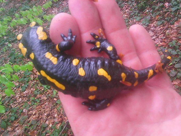   - 16  2017  09:13 - 3