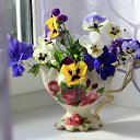 ���� ������, �������� - ��������� 26 ������� 2017 � ������ ���� ����������