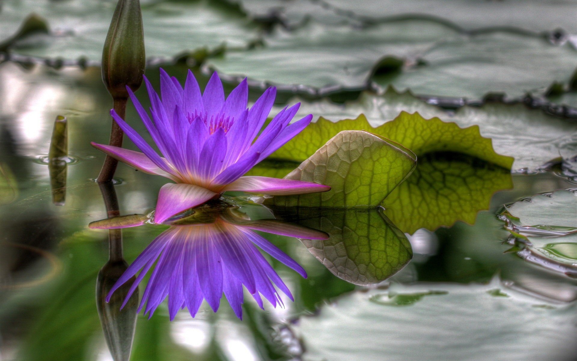 Sergio - 9  2017  18:17 - 5