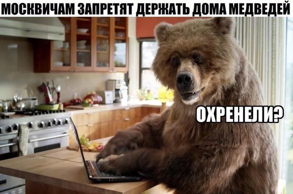   - 28  2017  18:57