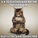 ���� ����, ������, 54 ���� - ��������� 7 ������ 2017 � ������ ���� ����������
