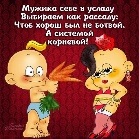   - 7  2017  18:16