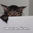 ���� ������, ������������ - ��������� 31 ���� 2017 � ������ ������