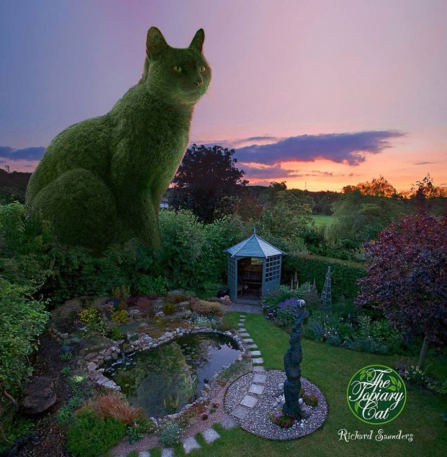 ))).Topiary Cat:     -       ... - 7