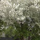 ���� ����, ���������, 66 ��� - ��������� 21 ��� 2017 � ������ ������ � ���������