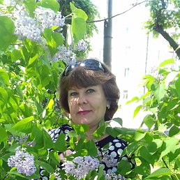 ������, ���, 57 ���