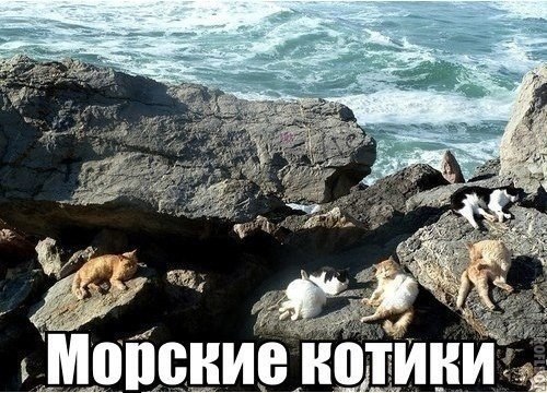       - 3  2017  19:08