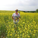 ���� ������, �������� - ��������� 15 ���� 2017 � ������ ���� ����������