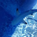 ���� ������, ������������, 40 ��� - ��������� 2 �������� 2017 � ������ �Moe foto�