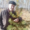 ���� ������, ���� - ��������� 29 ������� 2017