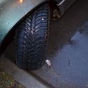 ���� �����, �����, 56 ��� - ��������� 22 ���� 2017 � ������ ���� ����������