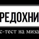 ���� �������, ������, 55 ��� - ��������� 22 ���� 2017 � ������ ������ ��������
