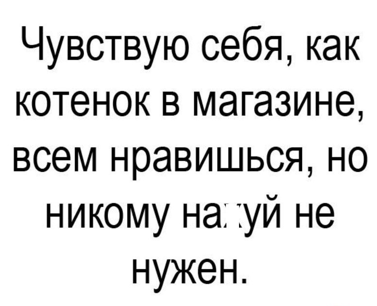  - 9  2017  16:59