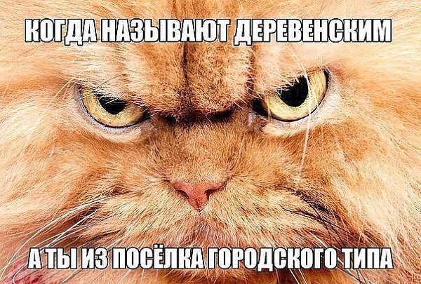 ��� ���� - 23 ������� 2017 � 07:23